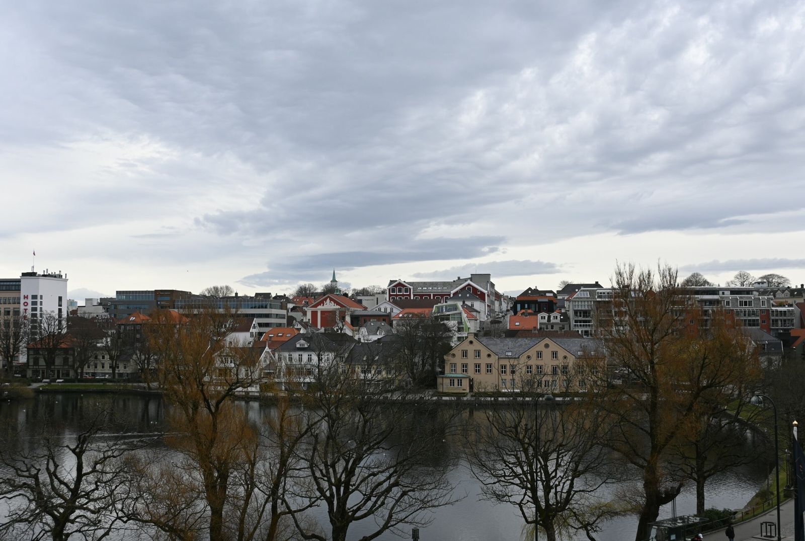DSC_0794_1