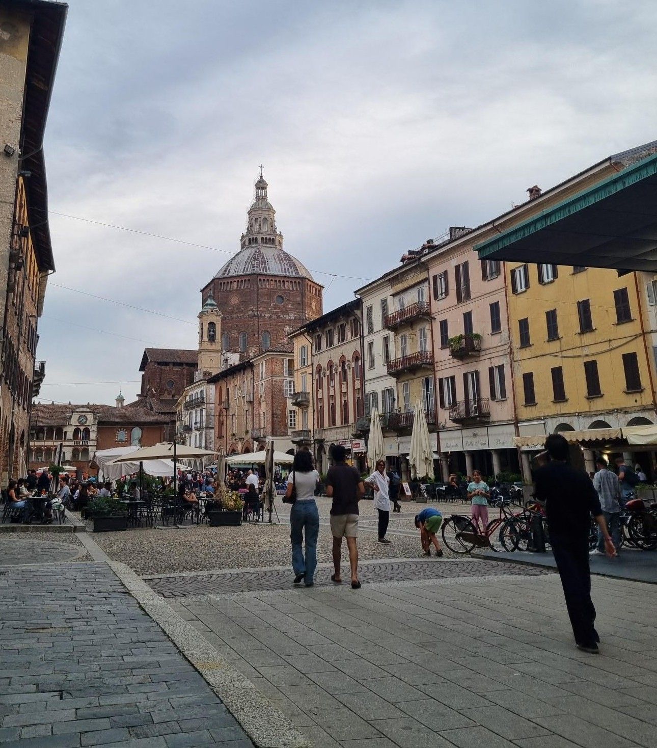 Pavia by